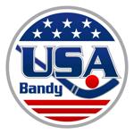American Bandy Association